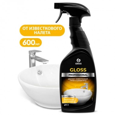 Чистящее средство "Gloss" Professional (флакон 600 мл)